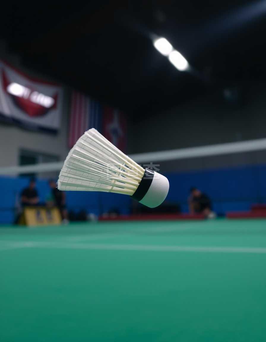 这一结果不 这一结果不